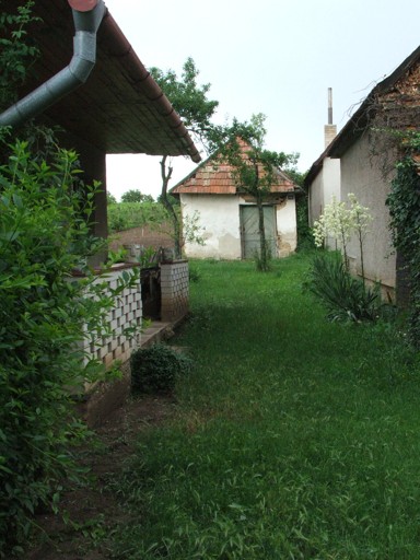 v pozadí hajloch Štefanka Koseca